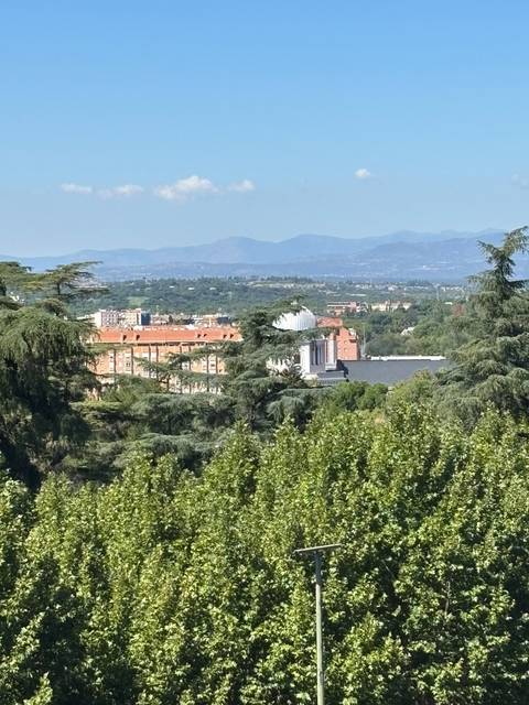 Distant cityscape view framed by tall evergreens with mountains in the background.