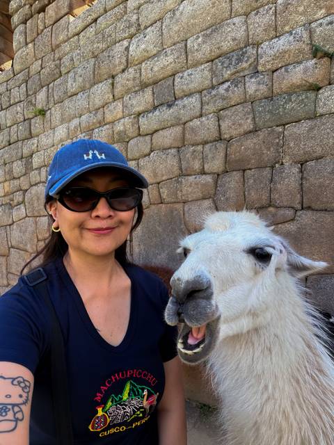 Close-up selfie with a friendly white llama against ancient Inca stone walls.