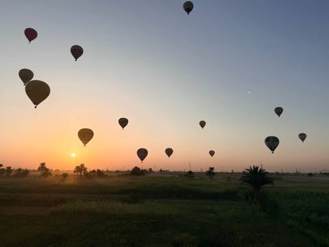Multiple hot-air balloons drift above green fields and palm trees at sunrise, with a warm orange sky on the horizon.