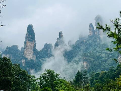 Dramatic quartz-sandstone pillars rise through swirling mist and lush forest.