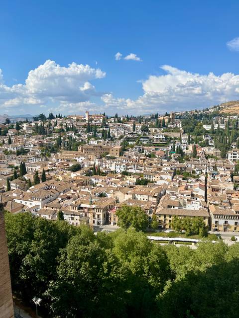 Panoramic view over tightly packed terracotta rooftops and cypress trees of Granada's Albaicín district.