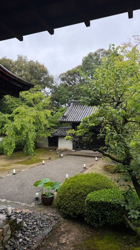 Tranquil garden scene with verdant trees framing a traditional tiled-roof gate beside a mossy courtyard.