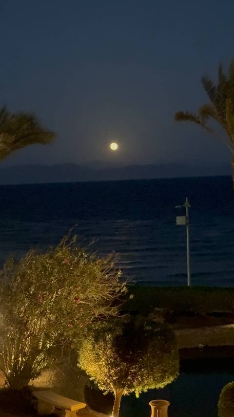 Nocturnal scene of full moon shining over dark sea with faint shoreline details.
