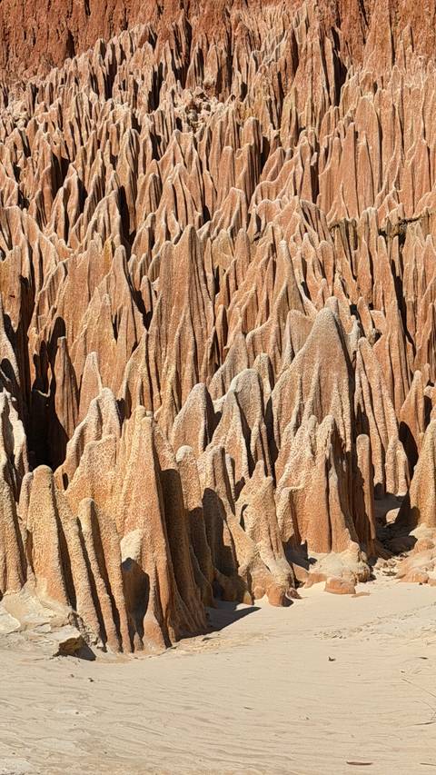 Jagged red tsingy rock formations create a maze of needle-like spires.