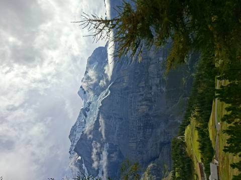 Vertical shot of a towering glacier-capped mountain partly veiled by clouds above green forested slopes.