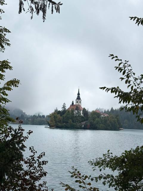 Slovenia Discovery customer review photo