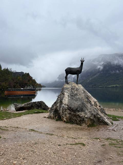 Slovenia Discovery customer review photo