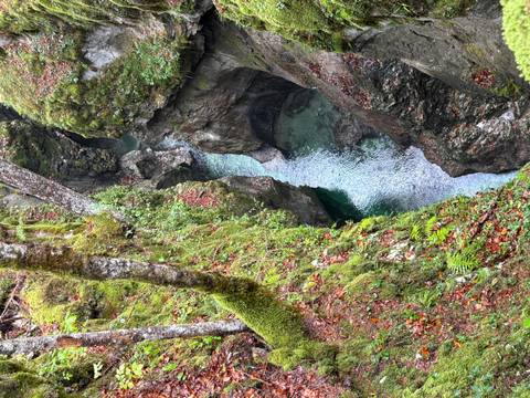 Slovenia Discovery customer review photo
