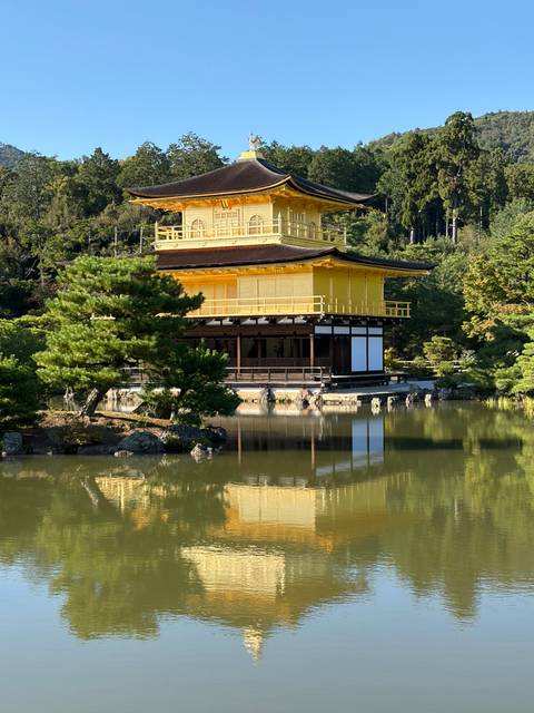 Golden Pavilion temple reflected in a tranquil pond surrounded by pine trees