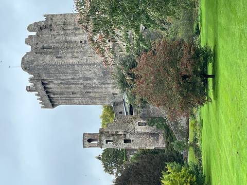 Iconic stone walls and towers of Blarney Castle rise above lush green lawns and trees.