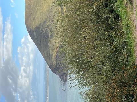 Bushy headland rises above turquoise sea under scattered clouds along Ireland’s rugged coast.