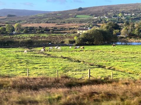 Green farmland with grazing cattle and hedgerows stretching across rolling Irish countryside.