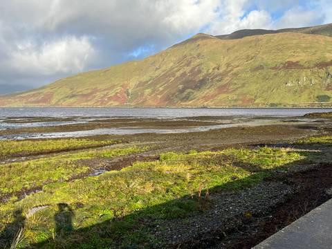 Shallow tidal flats with green moss and distant brown mountains under mixed sunlight.