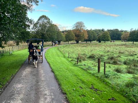 Horse-drawn jaunting cars travel a winding path through lush parkland and trees.