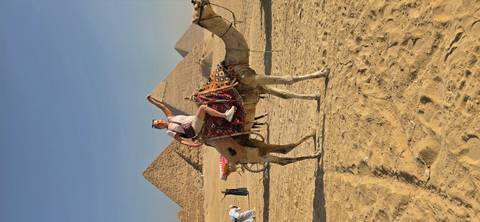 Traveler riding a decorated camel in the desert with the Pyramids of Giza rising in the background.