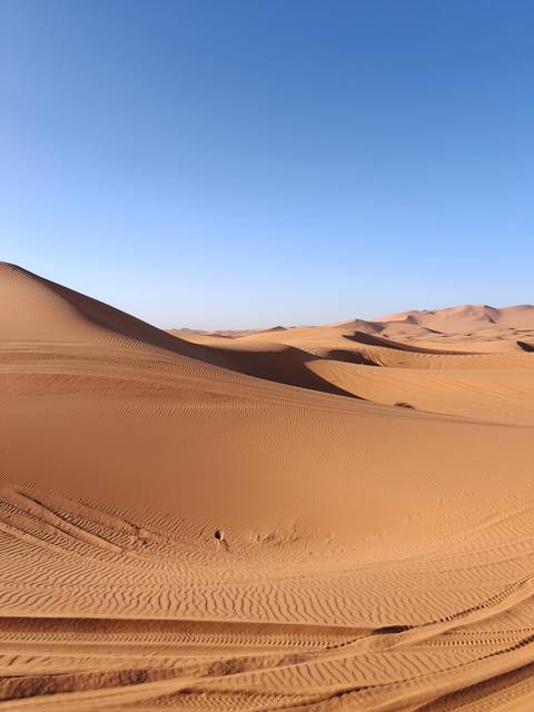Sweeping view of golden sand dunes in the Sahara Desert with rippled textures under a clear blue sky.