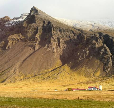 Steep, rugged mountainside with yellow moss and long shadows under crisp sunlight.