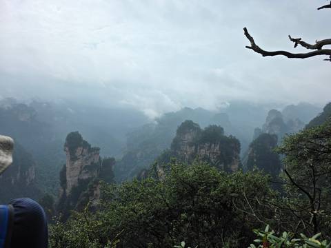 Layer upon layer of misty quartz pillars covered in green vegetation fading into grey clouds in Zhangjiajie National Park.