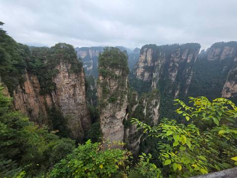 Towering, narrow sandstone columns cloaked in green rise from a deep valley in Zhangjiajie under overcast skies.