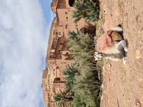 A saddled camel rests in front of the earthen kasbah buildings of Aït Benhaddou.