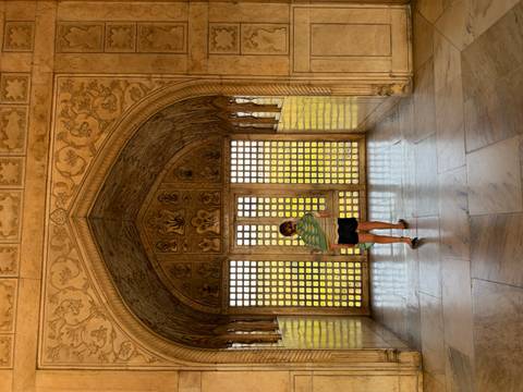 A child stands inside an ornately carved chamber looking out through a lattice window of the Taj Mahal.