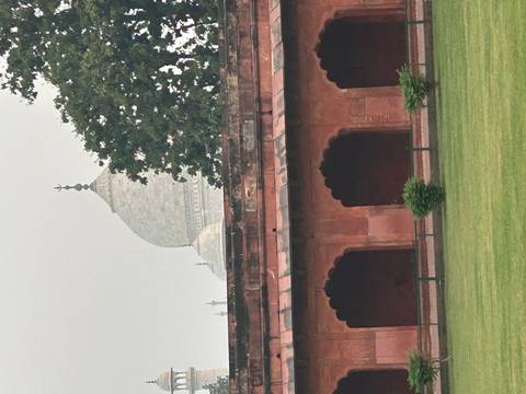 Partial view of the Taj Mahal dome peeking over red sandstone arches framed by a tree.