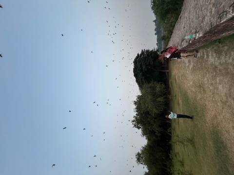 Open grassy field with scattered visitors photographing birds flying overhead in the twilight sky.
