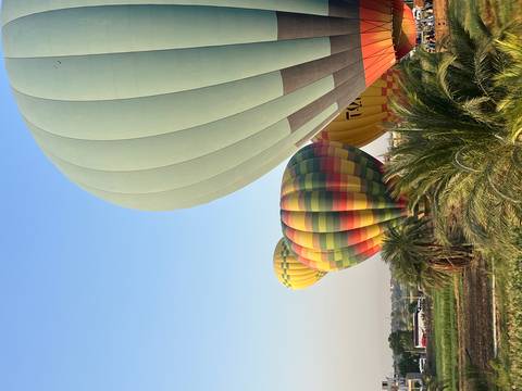 Colorful hot-air balloons rise over green fields and palm trees in the soft morning light of Luxor.