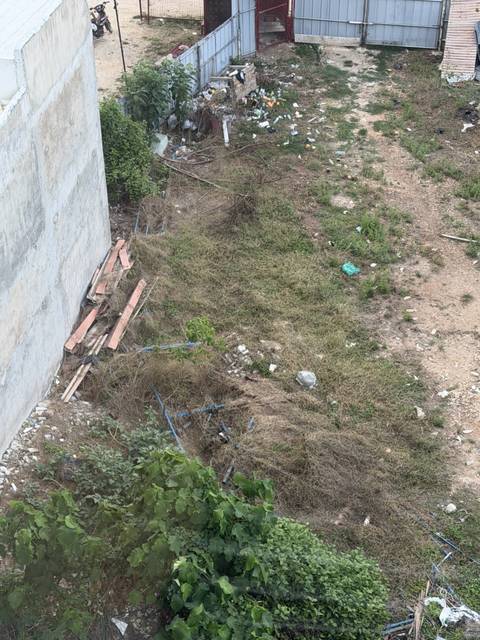 A patch of overgrown ground littered with construction debris beside a concrete wall.