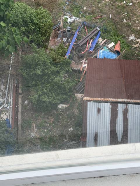 A corrugated metal roof and surrounding overgrown yard viewed from above.