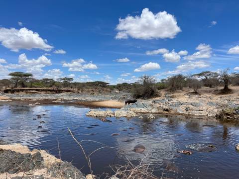 Waterhole dotted with submerged hippos surrounded by rocky banks and acacia trees under bright blue skies.