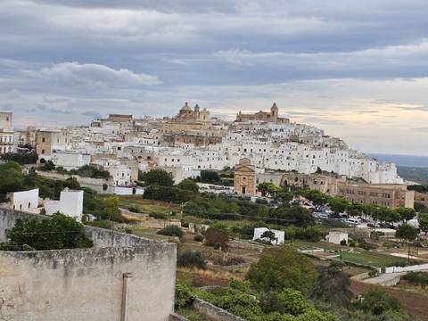 Hilltop whitewashed town cascades down a ridge above olive groves under a gently overcast sky.