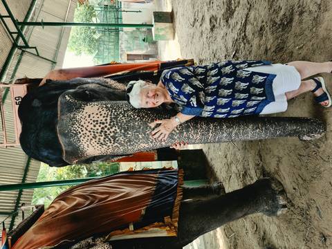 Smiling traveller gently hugging the trunk of a decorated Asian elephant in a sheltered enclosure.