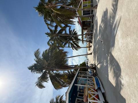 Tropical beach lane lined with swaying palm trees, rustic huts, and soft white sand under blue sky.