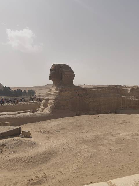 Side profile of the Great Sphinx of Giza dominating a sandy archaeological site.