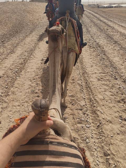 First-person view from atop a camel trekking across dry, rutted desert terrain.