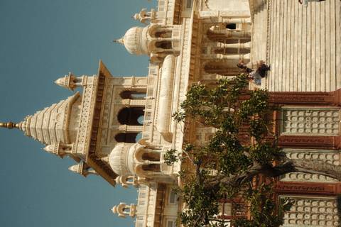 White marble cenotaph with domes and intricate carvings rises above broad stone steps and a leafy tree.