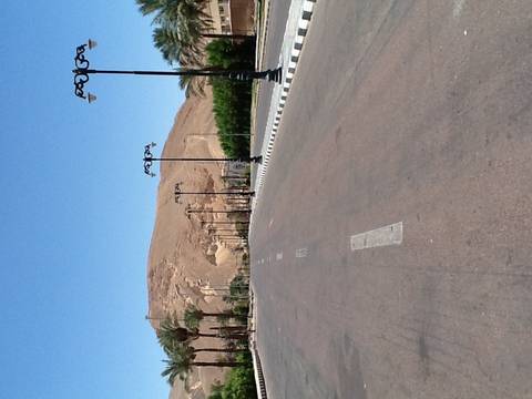Inclusive Hurghada and Nile Cruise Adventure 15 days customer review photo