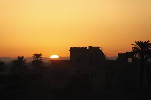 Orange sunset silhouettes palm trees and ancient ruins along the Nile.