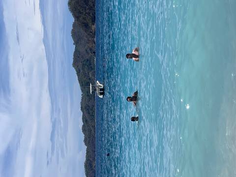 Three swimmers enjoy turquoise tropical waters near a motorboat and forested island backdrop.