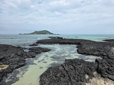 Volcanic black lava rocks and turquoise sea off the coast of Jeju Island