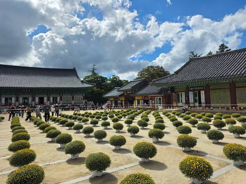 Temple courtyard lined with decorative chrysanthemum pots and visitors exploring