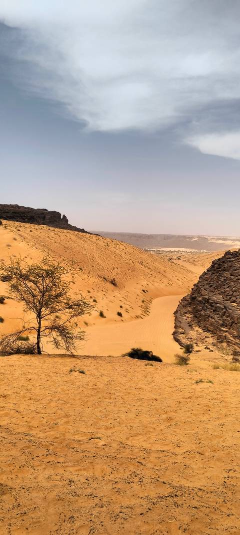 Golden sand valley with rocky black cliffs and sparse desert vegetation stretching into the distance