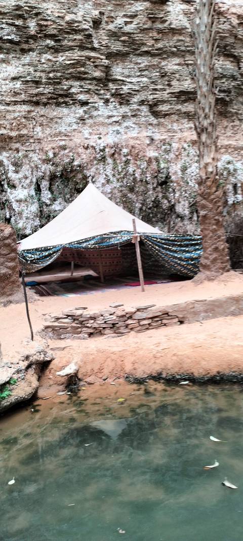 Canvas nomad tent draped with patterned fabric set among palm trunks, image slightly blurry
