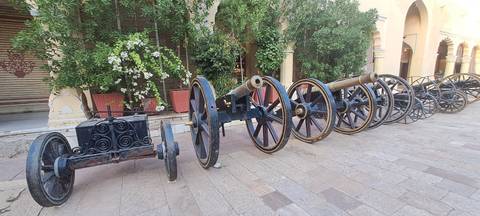 Row of antique cannons lined up in a palace courtyard with green foliage behind