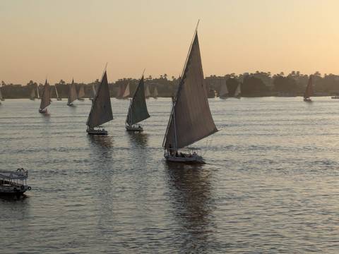 Traditional lateen-rigged sailboats glide across a wide river in warm evening light