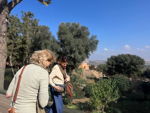 Travellers pause beside lush garden terraces overlooking a distant cityscape