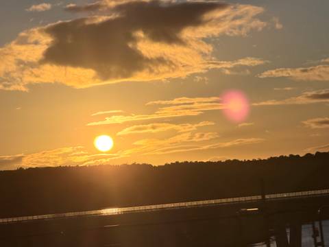 Golden sunset over a forested horizon with bright sun and pink lens flare in the sky.