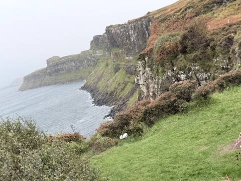 Steep sea cliffs covered in green vegetation descending into a rough grey sea on a misty day.