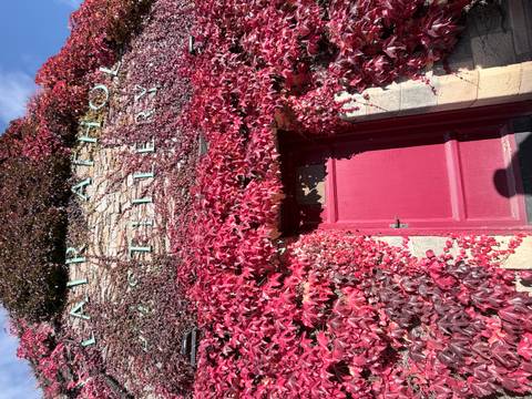 Facade of a stone distillery building covered in vibrant red ivy with a matching red door and partial signage.